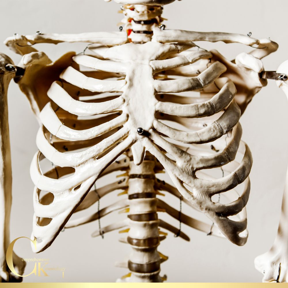 pass-15 CKI First Degree