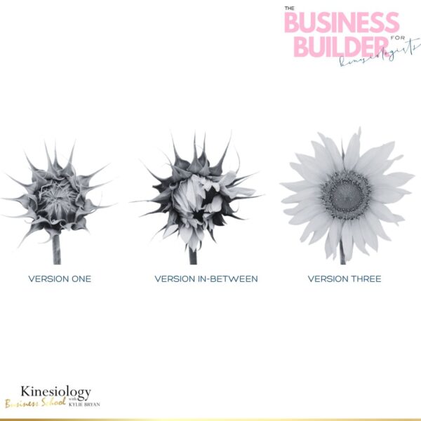 The Business Builder for Kinesiologists - Image 5