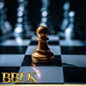 The Business Builder for Kinesiologists